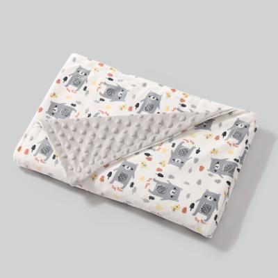 China Waterproof custom printed 100% polyester dot minky baby blanket for sale