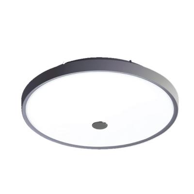 China Ignition Ace Bathroom Suitable For Balcony Energy Saving Infrared Sensor Switches White LED Ceiling Light for sale