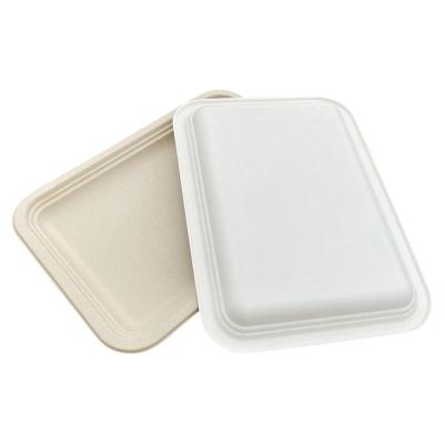 China Eco-Friendly Rectangular Biodegradable Sugar Cane Mash 14 Disposable Picnic Tray x10 for sale