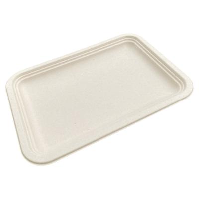 China Eco Friendly Disposable Rectangular Tray Biodegradable Universal Fruit Tray for sale