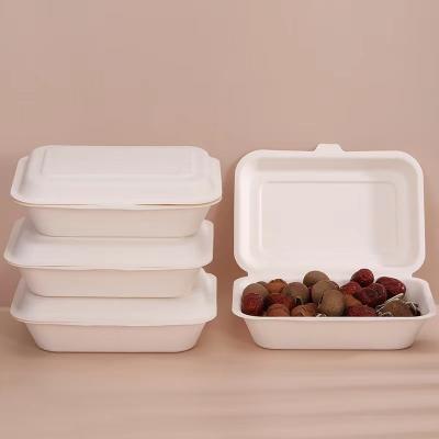 China 100% Biodegradable Microwavable Food Box Packaging For Eco Friendly Disposable Fast Food Lunch Box for sale