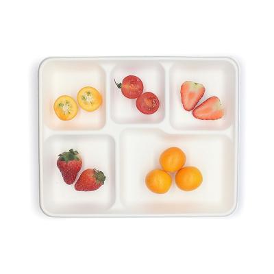 China Bagasse Biodegradable Disposable Bagasse Takeout Food Bowl Eco - Friendly Tray for sale