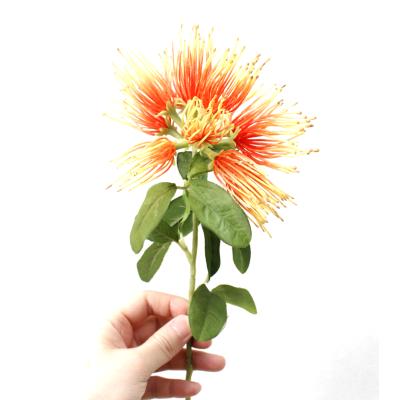 China New Eco-friendly Albizia Style Pincushion Flower Dandelion Acacia Home Decoration Plastic Vases Flower for sale