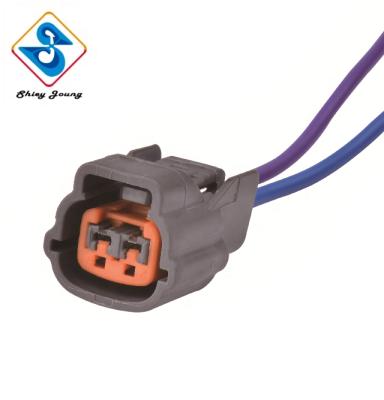 China Automotive Automobile Wire Harness 2 Terminal 6098-0137 Female Connector 2 Way Plug Pigtail Wire Harness for sale