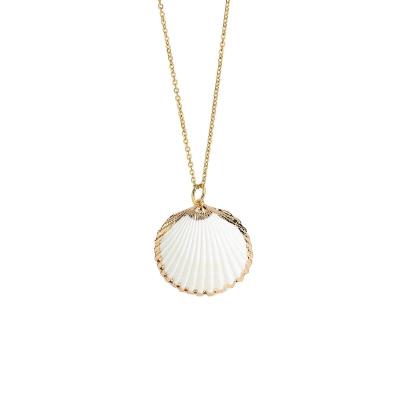 China Romantic Phnom Penh Shell Pendant Necklace Stainless Steel Chain Elegant Choker Jewelry for Women Girls for sale