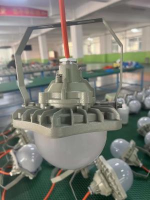Cina Zone1 2 21 22 10-100W elettrici d'accensione principali protetti contro le esplosioni in vendita