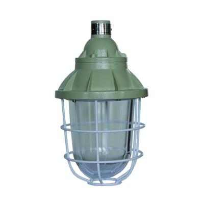 China explosion proof hid light Lamp Holder 5000K LED Light IP65 Zone 1 2 UL/CUL/ATEX/IECEx Certified for sale