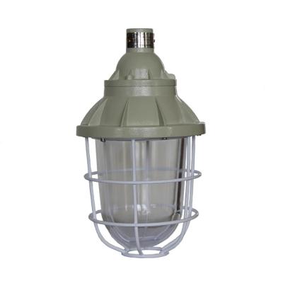 China Tempered Glass Explosion Proof HID Pendant Mounting Lighting with 9000 Lumens for sale