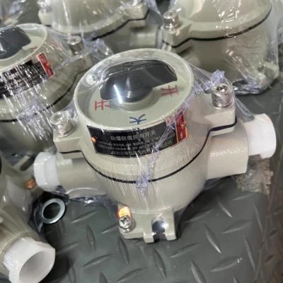 China Explosion Proof Switch SW-10 For Hazardous Locations With Corrosion Resistance And Waterproof IP65 Protection for sale