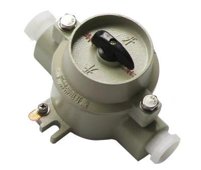 China 2 Pole Explosion Proof Toggle Switch 10A With IP65 Protection For Hazardous Area for sale