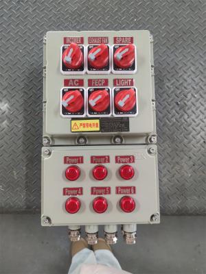 China Wall Mounted Exproof Flameproof Control Panels Customizable Rated Voltage ATEX CNEX ISO9001 Certification For Oil Gas Marine Solution for sale