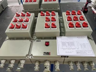 China Intrinsically Safe IP66 Control Panels with Flameproof Enclosure for sale