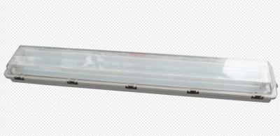 Cina 100lm/w Risparmio energetico 600mm Luce fluorescente a prova di esplosione con grado di protezione IP66 con tempo di emergenza di 90 minuti in vendita