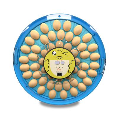 China Automatic Egg Turning HHD 52 Capacity And Environmentally Friendly ABS Material Small Egg Incubator Automatic Hatching for sale