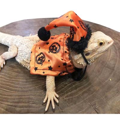 China Lizard Viable Clothes For Bearded Dragon Halloween Hat And Coat Set Costume Christmas Gifts Pets Adjustable Clothing For Rabbit Guinea for sale