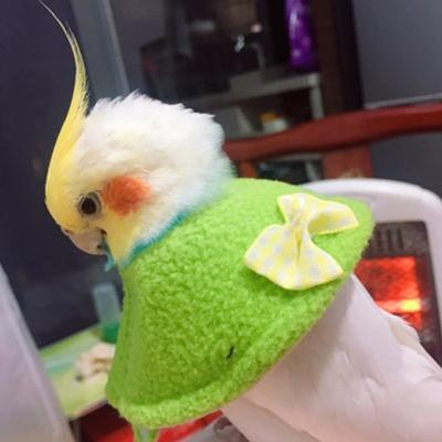 China Viable Parrot Supplies Birds Anti-pecking Collar Parrots Elizabeth Circle Bibs Coat For Tiger Skin xuanfeng Peony Pets Supplies for sale