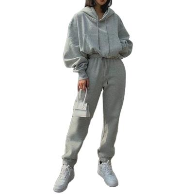 China Viable Warm Sale Winter Drawstring Sweatpants And Hoodie Set Fleece Sportswear Women Casual Training Tracksuit for sale