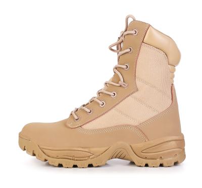 China Outdoor Activities Zapatos Outdoor Hiking And Trekking Men And Women Lightweight And Comfortable Military Tactical Boots for sale