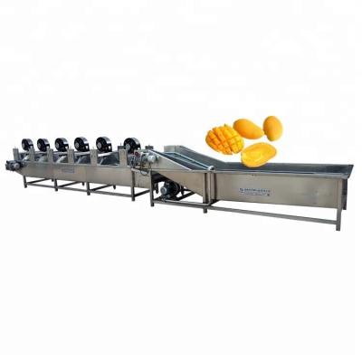 China food & Beverage Factory Mango Washing Hot Water Treatment Hot Air Drying Machine Line for sale