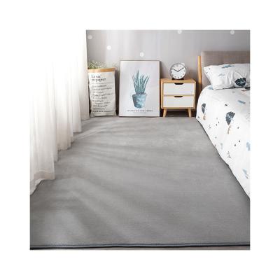 China Home Decoration Coral Pile Carpet High Quality Non-slip Rug Washable For Bedroom for sale