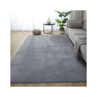 China Wholesale Washable Design 600g Coral Pile Carpet Area Rug China Shag Rug For Bedroom Living Room for sale