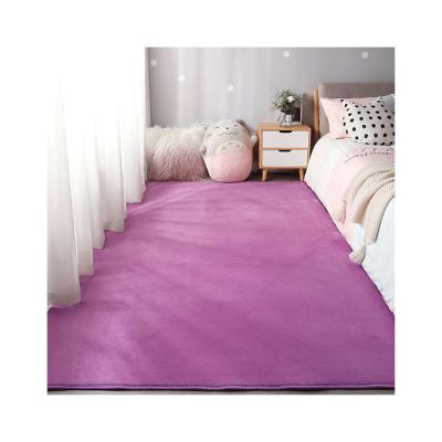 China High quality washable and good price large area coverage Coral Fleece Short Pile Rug colorful for sale