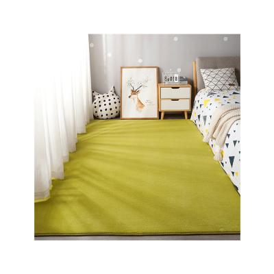 China Modern Luxury Washable Area Rug Coral Pile Carpet Colorful Washable Goods for sale