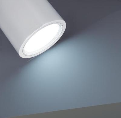 China High Power 30W Surface Mounted Led Downlights Bathroom Led Ceiling Lights for sale