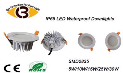 China 15W SMD2835 Dimmable LED IP65 Adjustable Downlight 155mm X 60mm RoHS Certification for sale