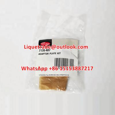 China DELPHI feed-oil valve 7135-487 original  20440388 injector valve for sale