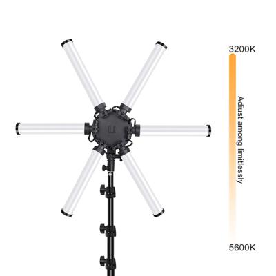 China Adjustable Shine Tripod Stand Led Ring Light Camera 26