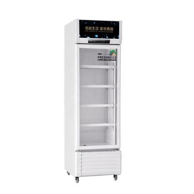 China 2021 Single-Temperature 327L Refrigerator Freezer Commercial Direct Cooling Visi Cooler Glass Door for sale