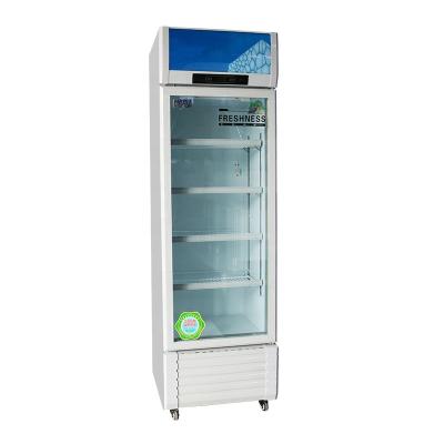 China New Design 220v-240v/110v Single-temperature Energy Drinks Fridge Glass Door Bar Fridge for sale