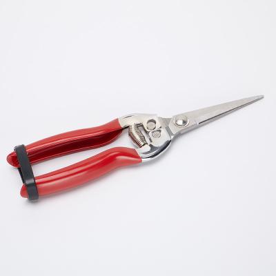 China New Anti-skid Handle Ratchet Blade Grape Fruit Shears Gardening Tools Trimmer for sale