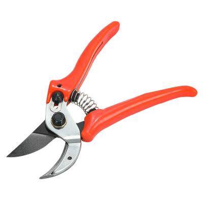 China High Quality Beak Professional DIY Tool Small Garden Cutter Tools Shears Working Gardening Pruner for sale