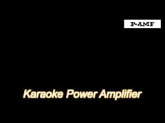 ev9300 2 x 900w karaoke power amplifier class ab with led indicators