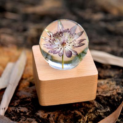 China China SKYRINGE Factory OEM Customized Craft GIF Resin Ball Night Music Box Light Dry Crystal Ball Flowers Inside Wooden Box Speakers for sale