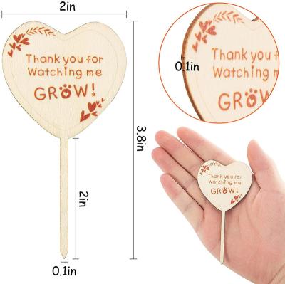 China Bamboo Plant Labels with a Marker Pen, T-Type Wooden Plant Sign Labels Garden Markers for Potted Seed/ Herbs Flowers Vegetables for sale