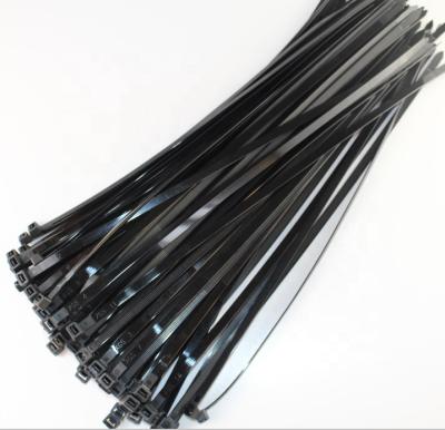 China Moq10 Inch Lower Price Nylon Anti Aging Good Quality Nylon Cable Ties Factory In China for sale