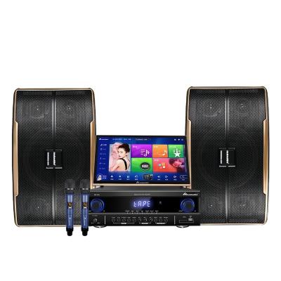 China Karaoke Set With Power Amplifier And Speakers 19