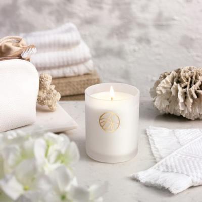 China Home Decoration Hot Sale Eco - Friendly Soy Wax Frosted White Candle Jars For Candle for sale