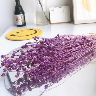 China Natural Touch DIY Christmas Wreath Delivering Wedding Stage Decoration Flowers Dried Flowers Acacia Beans for sale