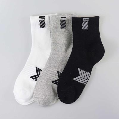 China New Design Leaf Tree Picture Tree Women Sampling Sports Socks Autumn Production Quick Socks free moq low price QUICK DRY for sale