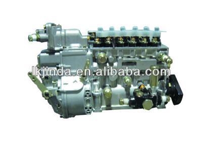 China Fuel Injection Pump BHT6P120R for Weichai WD615.87 BHT6P120R for sale