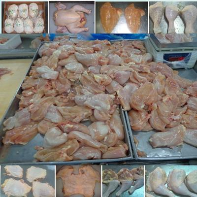 China Halal Low-CARB Wholesale Jellied Chicken Parts for sale