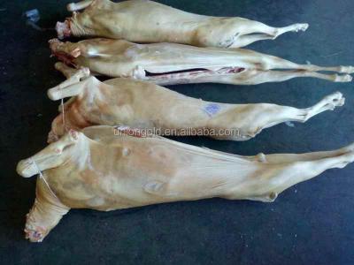 China Whole meat halal young NATURE goat lamb for sale