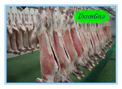 China NATURE Skinless Halal Meat Frozen Whole Lamb Carcasses for sale