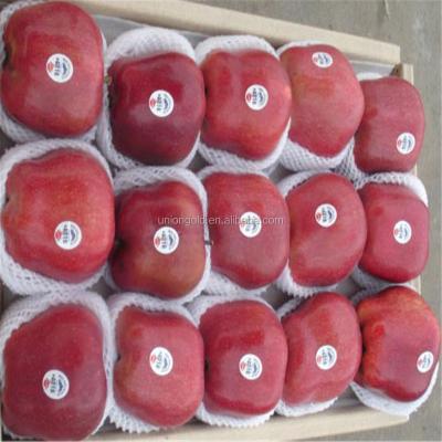 China 2015 fresh apple fruit-Tianshui Huaniu fresh apple for sale