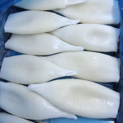 China Nutritious Frozen Squid Tubes for sale