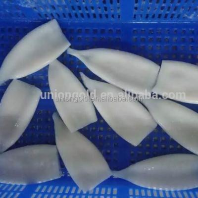 China FROZEN high quality frozen tube of squid for sale